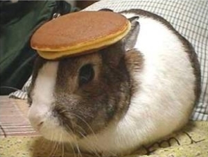 Pancake-Hatted Bunneh